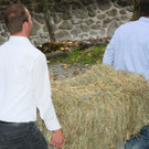 k-IMG_2340.JPG