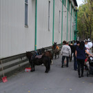 k-IMG_2368.JPG
