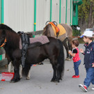 k-IMG_2372.JPG