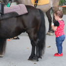 k-IMG_2375.JPG