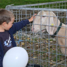 k-IMG_2440.JPG