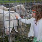 k-IMG_3024.JPG