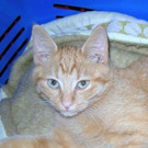 DSCN4261.jpg