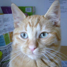 DSCN4278.jpg