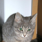 DSCN4289.jpg