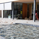 Weltladen Ho__chst 23-09-2014 35.jpg