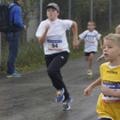 _DSC8311 _1024x702_.jpg