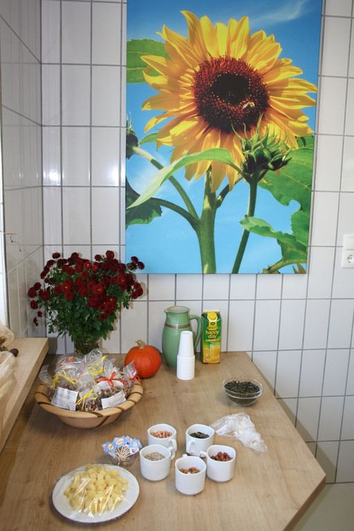 lm__hle SAILER Symbolfotos 20-09-2014 _3_.jpg