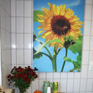 lm__hle SAILER Symbolfotos 20-09-2014 _3_.jpg