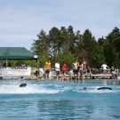 250409 Sprungtag 087.jpg