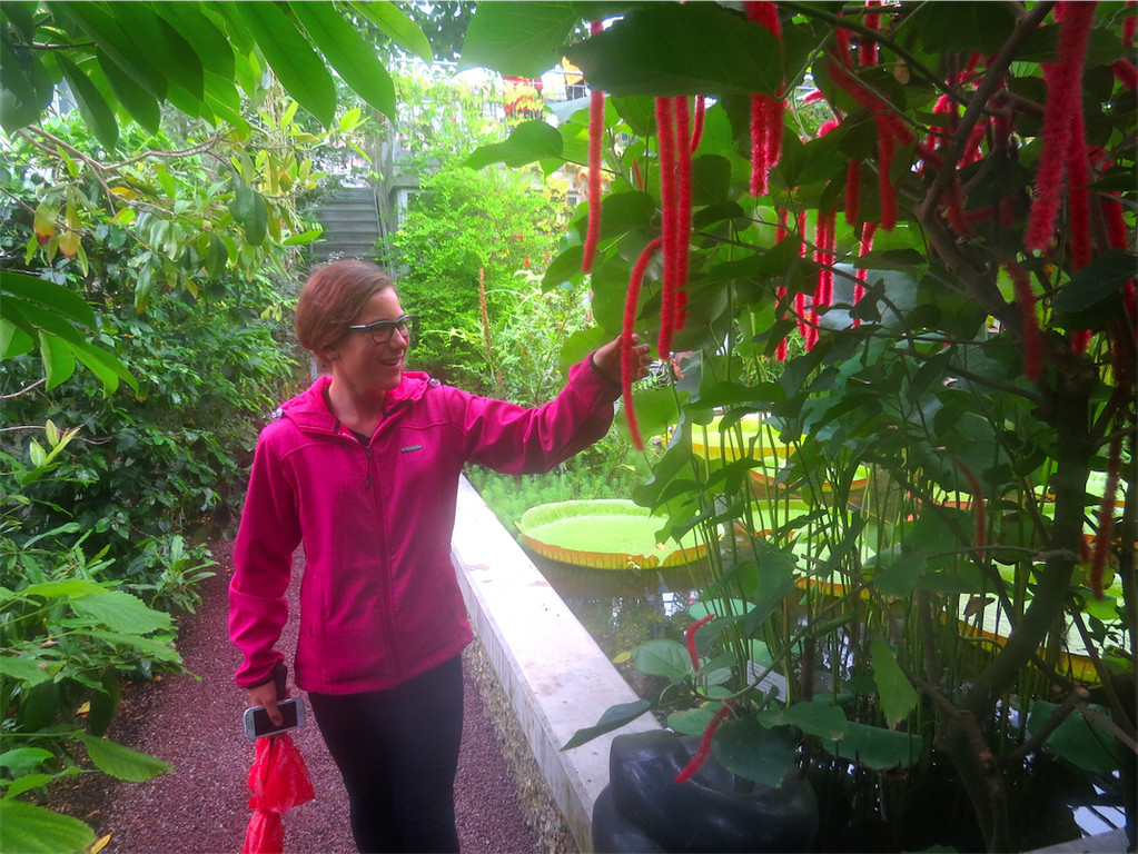 BK_Botanischer Garten SG 59.JPG