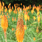 BK_Botanischer Garten SG 1.jpg