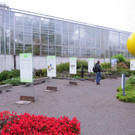 BK_Botanischer Garten SG 3.JPG