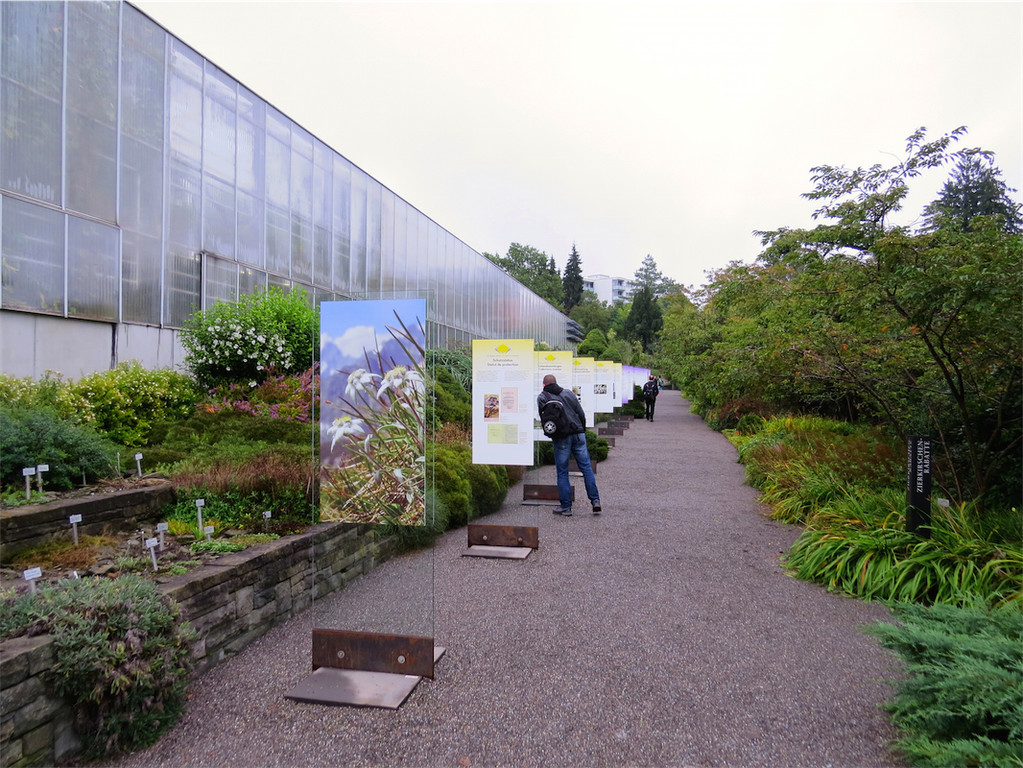 BK_Botanischer Garten SG 4.JPG