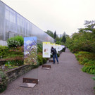 BK_Botanischer Garten SG 4.JPG