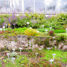 BK_Botanischer Garten SG 7.jpg