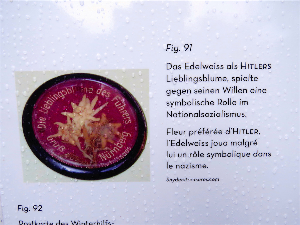 BK_Botanischer Garten SG 9.JPG