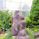 BK_Botanischer Garten SG 12.jpg
