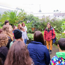BK_Botanischer Garten SG 20.JPG