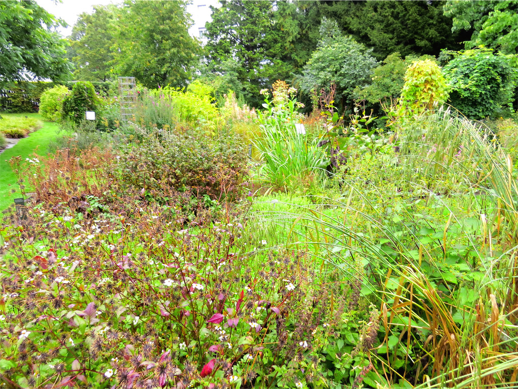 BK_Botanischer Garten SG 25.JPG