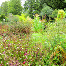 BK_Botanischer Garten SG 25.JPG