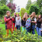 BK_Botanischer Garten SG 26.JPG
