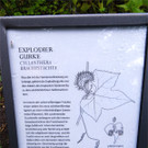 BK_Botanischer Garten SG 27.jpg