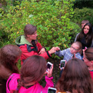 BK_Botanischer Garten SG 31.JPG