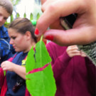 BK_Botanischer Garten SG 32.jpg