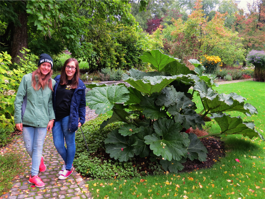 BK_Botanischer Garten SG 36.JPG