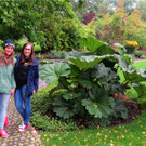 BK_Botanischer Garten SG 36.JPG