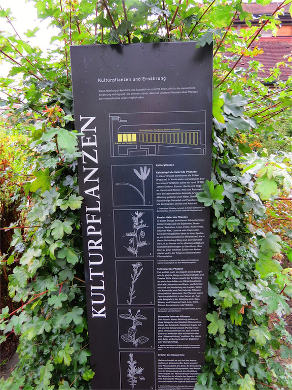 BK_Botanischer Garten SG 40.jpg