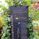 BK_Botanischer Garten SG 40.jpg