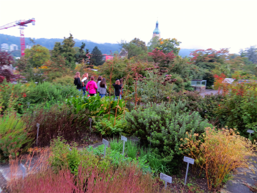 BK_Botanischer Garten SG 41.JPG
