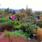 BK_Botanischer Garten SG 41.JPG
