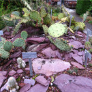 BK_Botanischer Garten SG 42.JPG