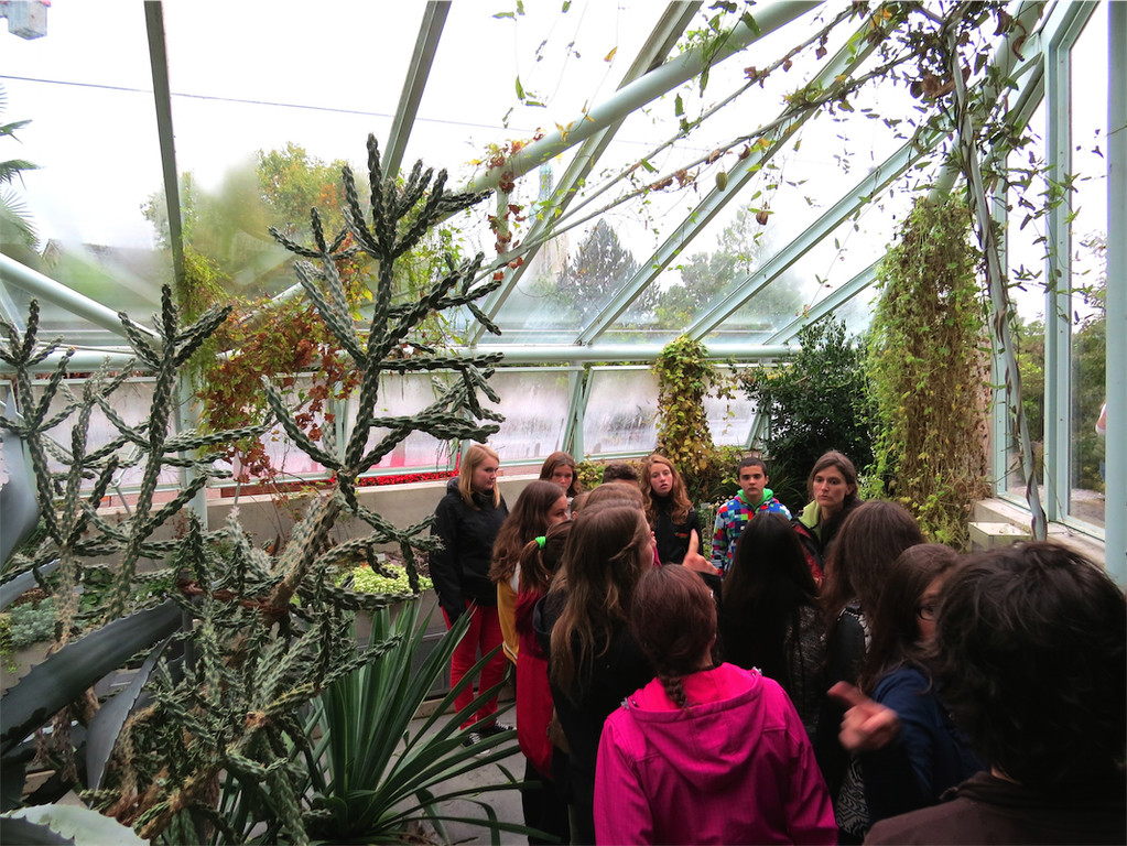 BK_Botanischer Garten SG 44.JPG