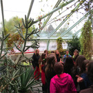 BK_Botanischer Garten SG 44.JPG