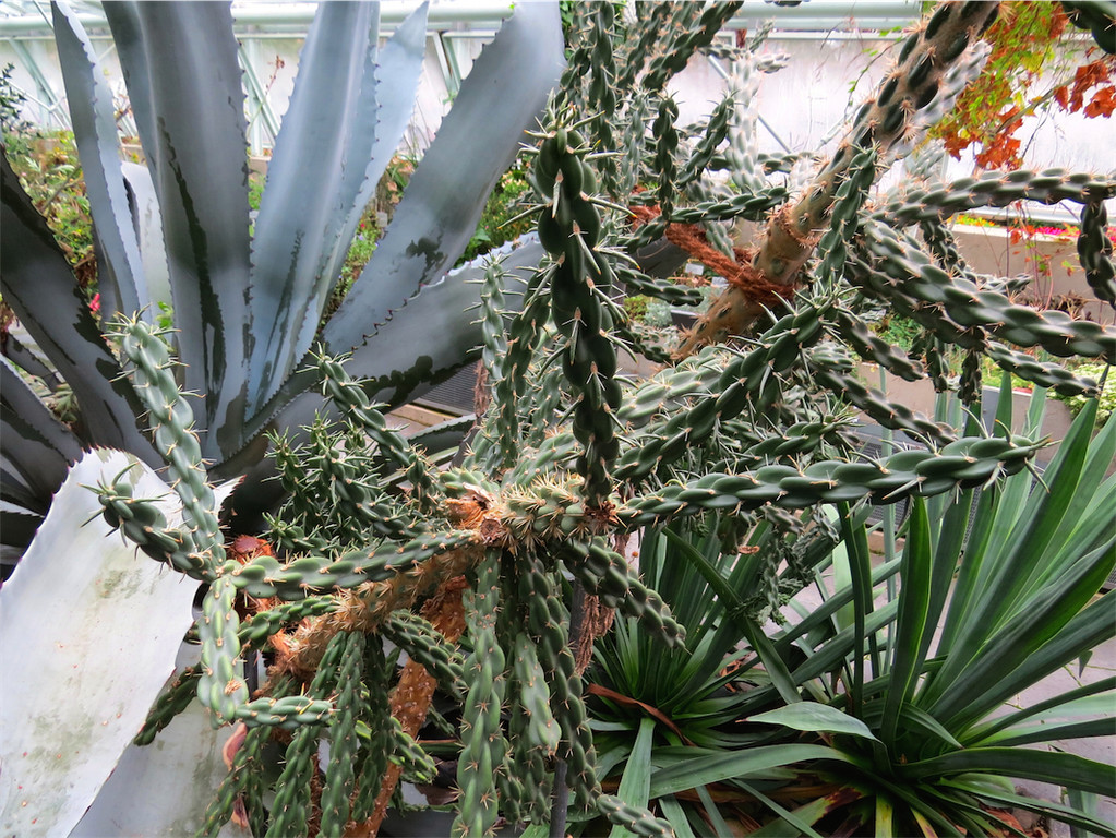 BK_Botanischer Garten SG 45.JPG
