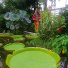 BK_Botanischer Garten SG 51.jpg