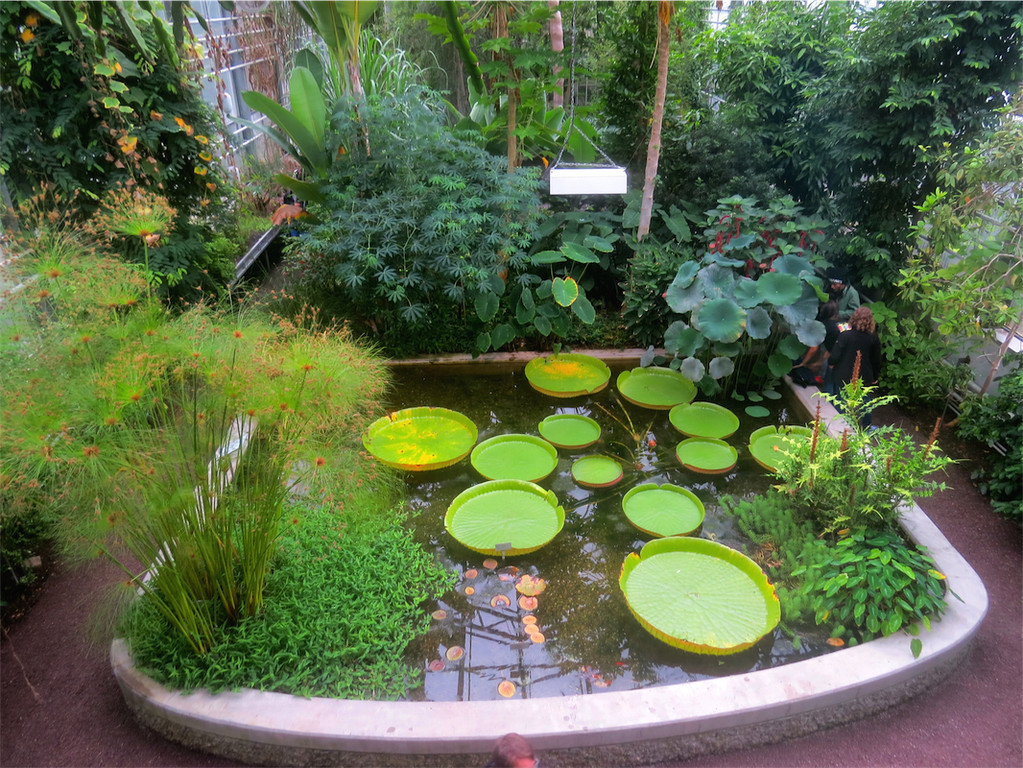 BK_Botanischer Garten SG 55.JPG