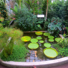 BK_Botanischer Garten SG 55.JPG