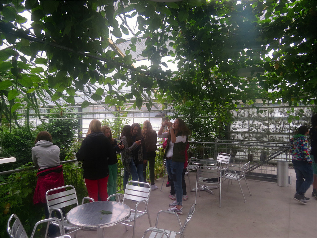 BK_Botanischer Garten SG 56.JPG