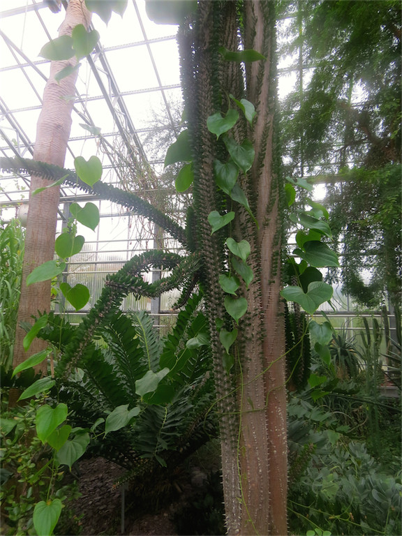 BK_Botanischer Garten SG 60.jpg