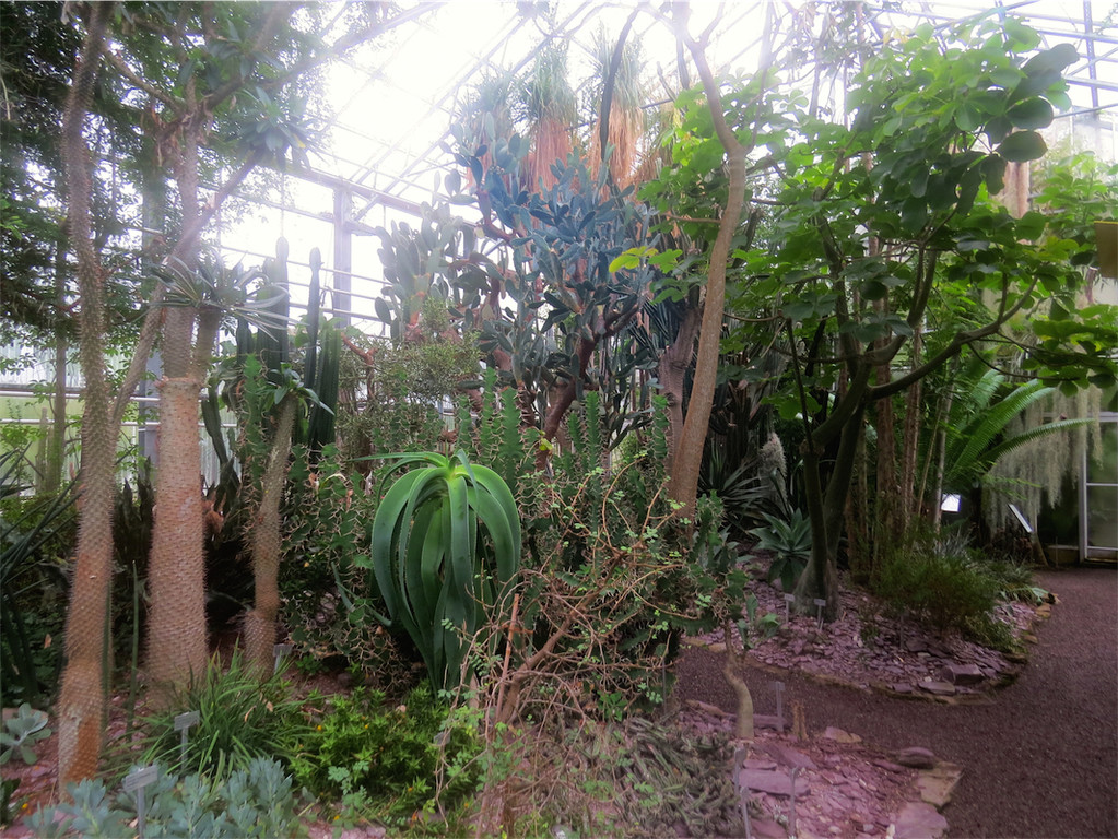 BK_Botanischer Garten SG 61.JPG