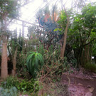 BK_Botanischer Garten SG 61.JPG