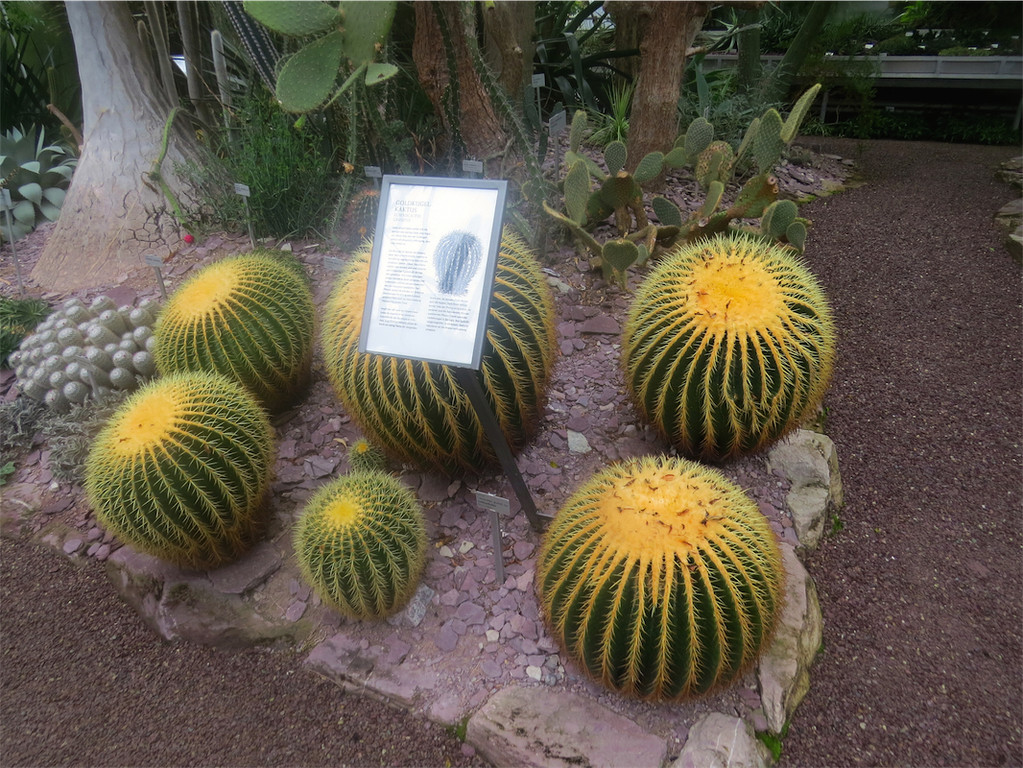 BK_Botanischer Garten SG 62.JPG