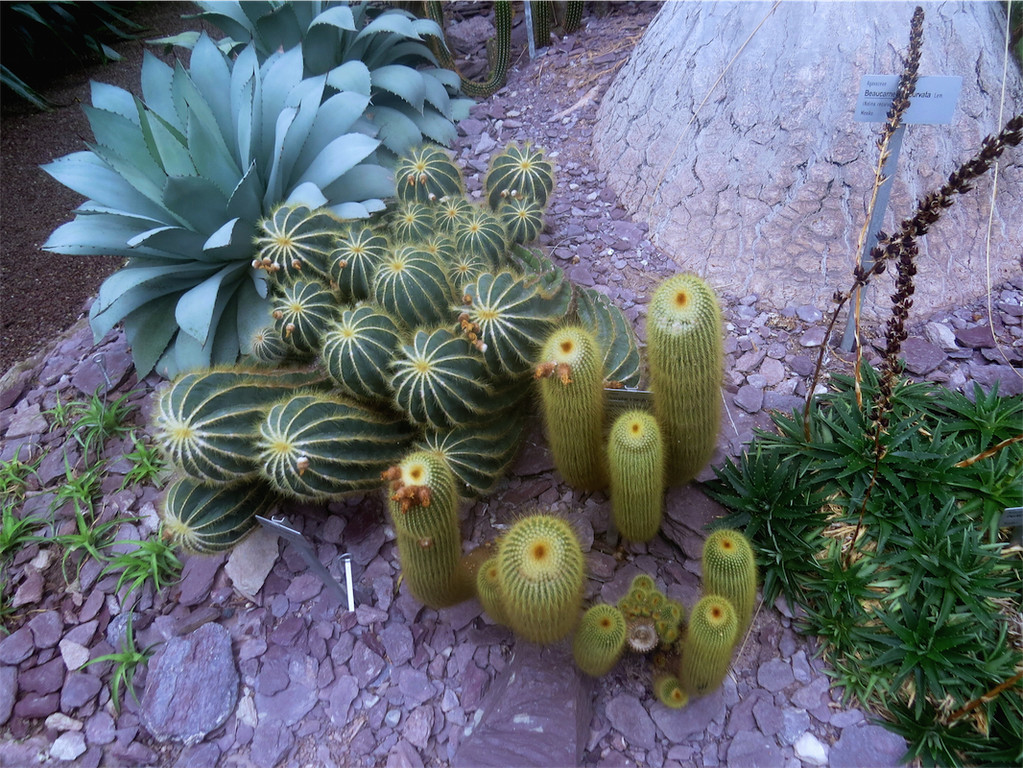 BK_Botanischer Garten SG 64.JPG