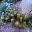 BK_Botanischer Garten SG 64.JPG
