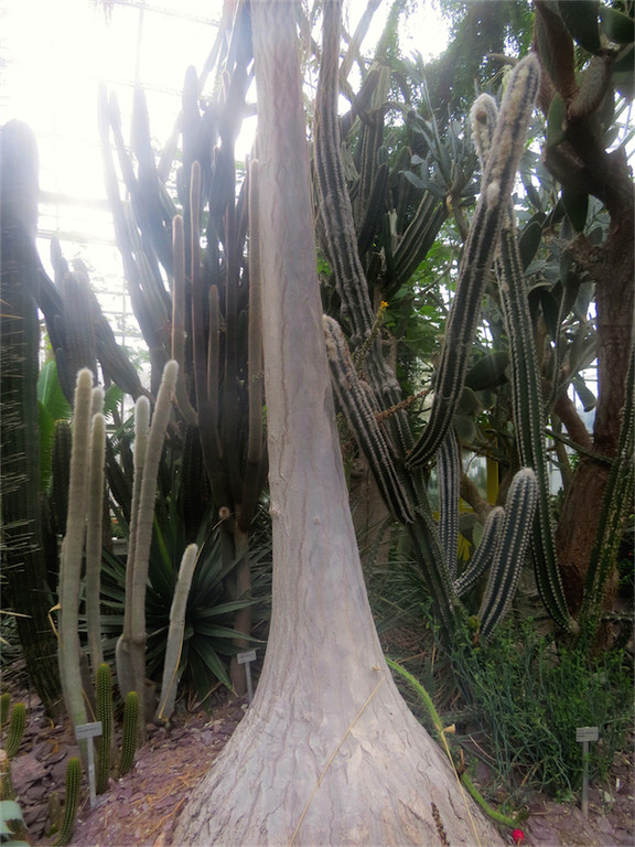 BK_Botanischer Garten SG 65.jpg